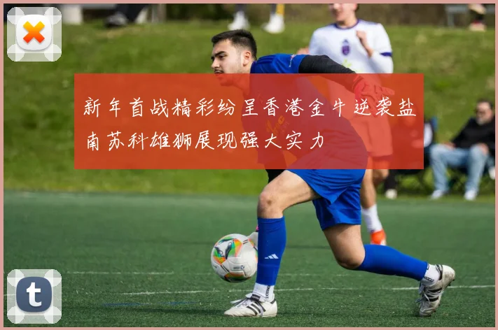 新年首战精彩纷呈香港金牛逆袭盐南苏科雄狮展现强大实力