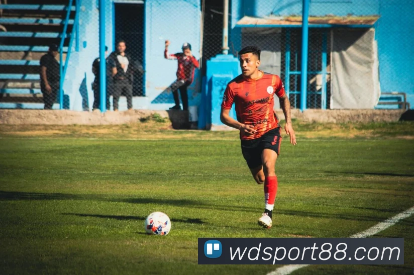 伟德体育服务体系