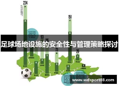 足球场地设施的安全性与管理策略探讨